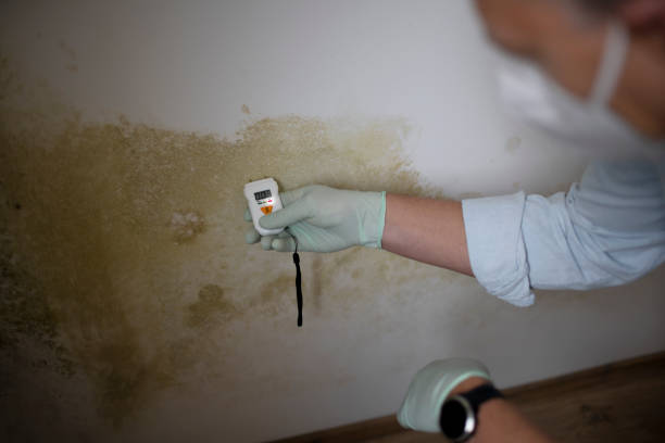 Best Mold Prevention Services  in Laconia, NH